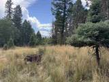 Lot 1319 Pleasant Valley Overlook - Photo 6