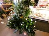 711 A Paseo Del Pueblo Sur - Photo 16