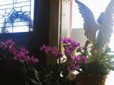 711 A Paseo Del Pueblo Sur - Photo 18