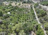 59 County Road 1105 - Photo 13