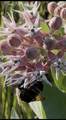 59 County Road 1105 - Photo 41