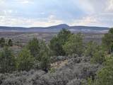 TBD County Road 110 - Photo 6