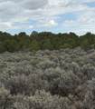 Lot 2 Colorado Rd - Photo 1