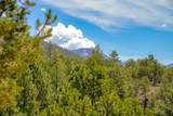 300 Gallina Canyon Road - Photo 34