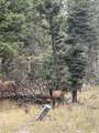 lot 1315 Pleasant Valley Overlook - Photo 4