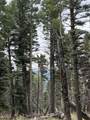 lot 1315 Pleasant Valley Overlook - Photo 7