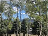 Lot 312 Via Del Rey - Photo 10