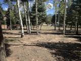 Lot 312 Via Del Rey - Photo 4