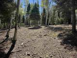 Lot 312 Via Del Rey - Photo 8
