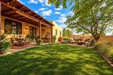 42 Mirlo - Photo 45
