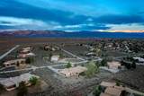 42 Mirlo - Photo 48