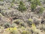 TBD Us Highway 285 - Photo 5