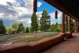 230 Pam Coleman Drive - Photo 41