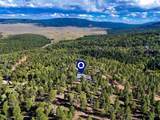 230 Pam Coleman Drive - Photo 6