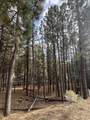 4 Alta Rd - Photo 3