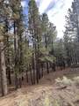 4 Alta Rd - Photo 5