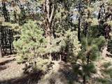 Lot 30A Vail Ave - Photo 10