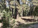 Lot 30A Vail Ave - Photo 11