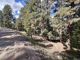 Lot 30A Vail Ave - Photo 14