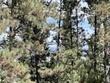 Lot 30A Vail Ave - Photo 5