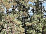 Lot 30A Vail Ave - Photo 6