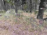 Lot 1311 Pleasant Valley Overlook - Photo 2