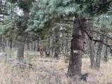 Lot 1311 Pleasant Valley Overlook - Photo 3