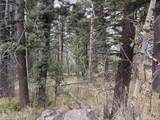 Lot 1311 Pleasant Valley Overlook - Photo 4
