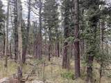 Lot 1311 Pleasant Valley Overlook - Photo 5