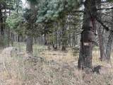 Lot 1311 Pleasant Valley Overlook - Photo 7