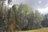 lot 30 Sheilds Ave - Photo 10