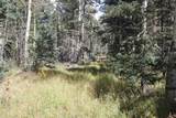 lot 30 Sheilds Ave - Photo 11