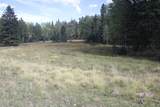 lot 30 Sheilds Ave - Photo 12
