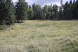 lot 30 Sheilds Ave - Photo 2