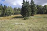 lot 30 Sheilds Ave - Photo 3