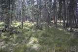 lot 30 Sheilds Ave - Photo 6