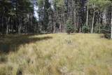 lot 30 Sheilds Ave - Photo 9