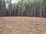 Lot 929 Alamosa Ter - Photo 6