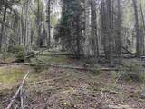 Lot 828 San Felipe Cir - Photo 12