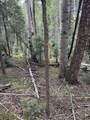 Lot 828 San Felipe Cir - Photo 14