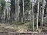 Lot 828 San Felipe Cir - Photo 17
