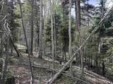 Lot 828 San Felipe Cir - Photo 2