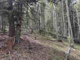 Lot 828 San Felipe Cir - Photo 6