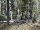 Lot 828 San Felipe Cir - Photo 9