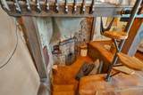15 Lemuria - Photo 6