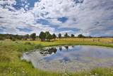 120 Pacheco - Photo 3