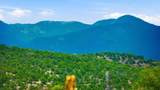 42 Hondo Seco Road A B - Photo 28