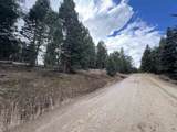 lot 484 San Mateo - Photo 4