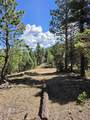 357 Vail Loop - Photo 3