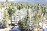 Lot 337 Rio Arriba - Photo 7